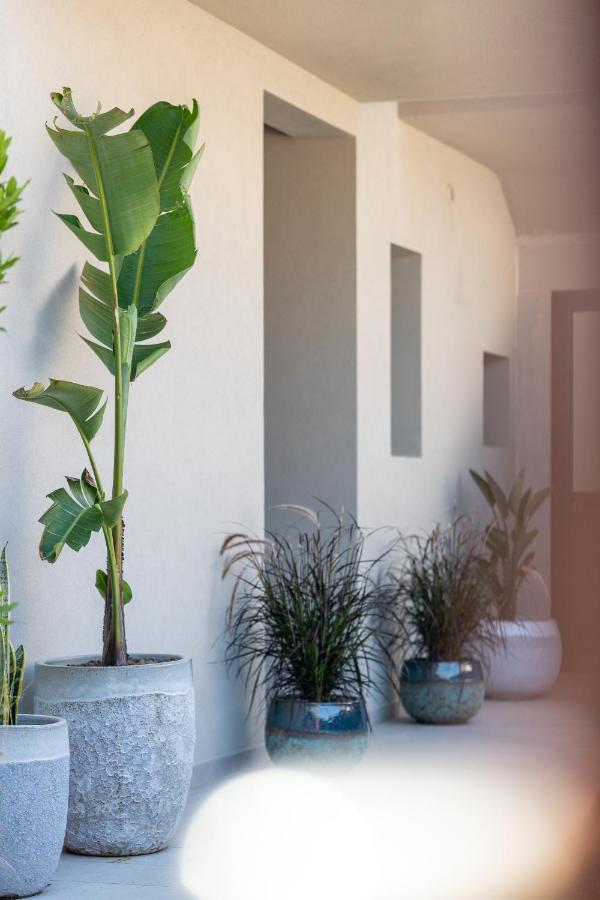 Villa Ilma Luxury Rooms Arzachena Eksteriør billede